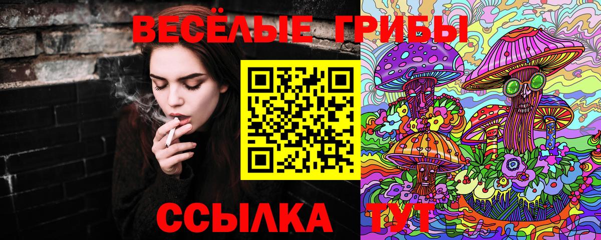 купить  сайты  Вход с VPN  Усть-Илимск  Галлюциногенные грибы мицелий 
